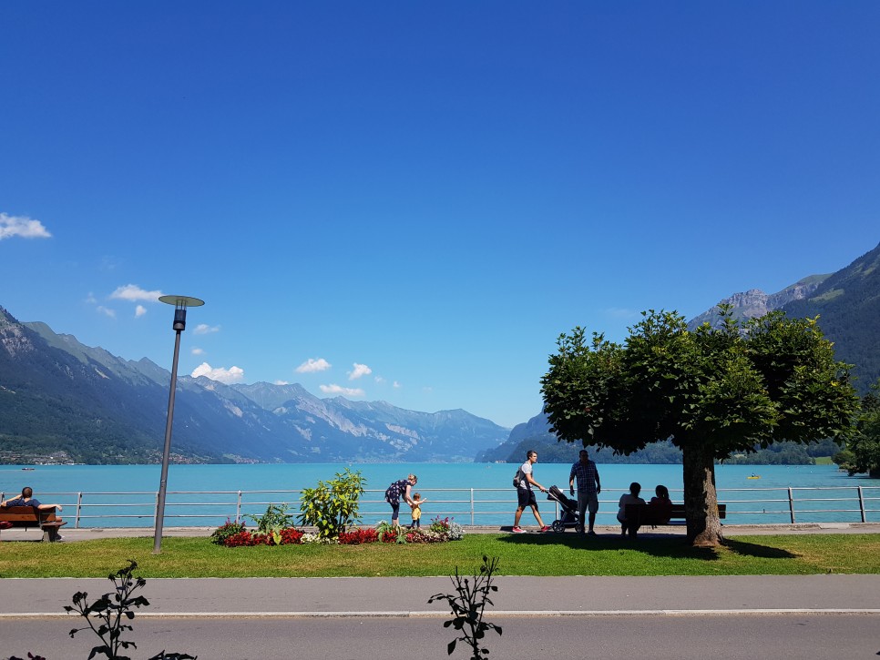 사랑의 불시착 촬영지스위스 [2019. 09] 추억의 15