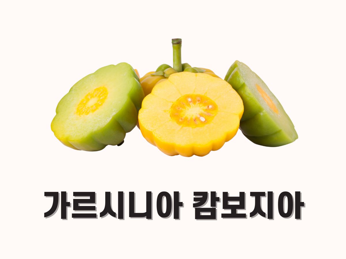 가르시니아 캄보지아