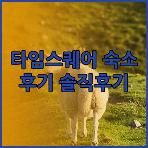 타임스퀘어 숙소 추천 모토 바이 힐튼