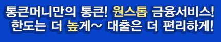  통큰머니 대출 상담 신청 사이트
