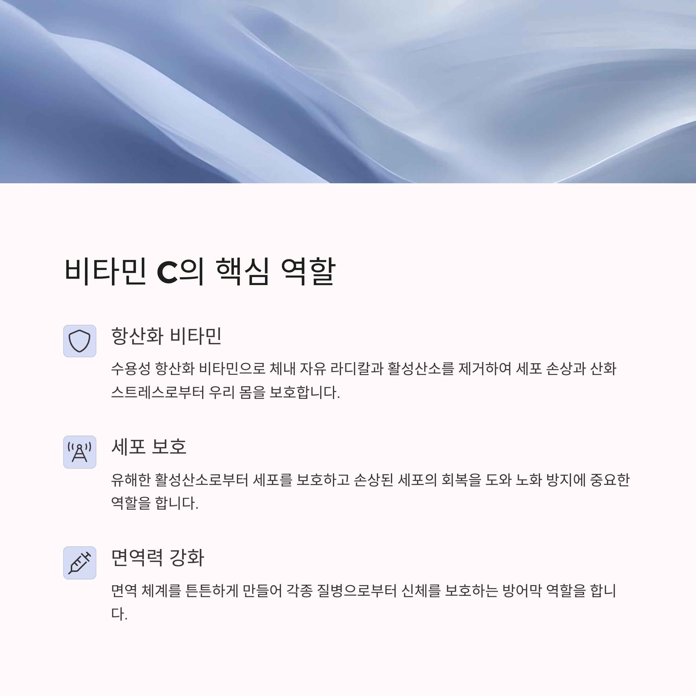 몸에 꼭 필요한 비타민 C: 항산화와 면역력