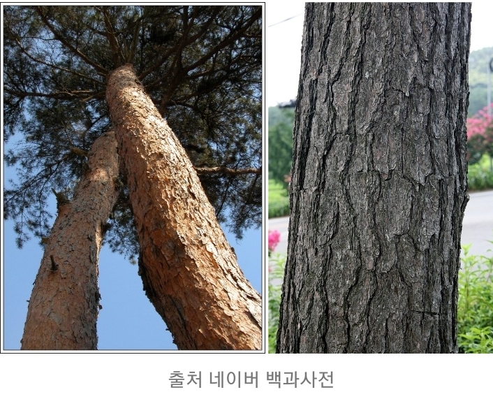 씨름판 기술의 22