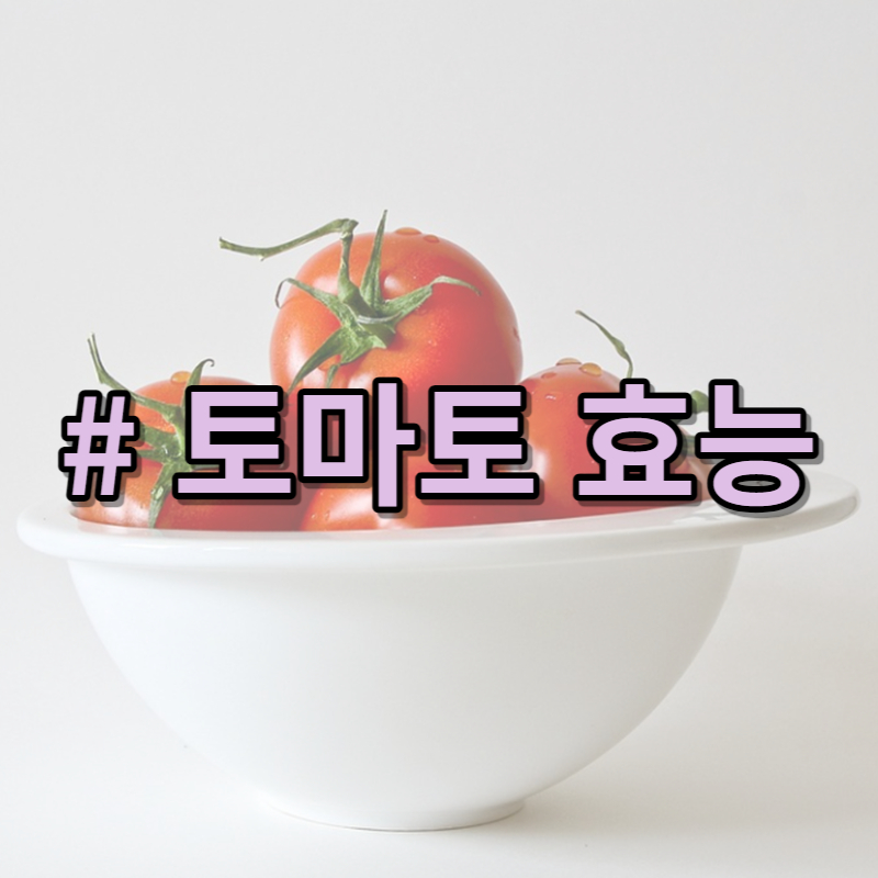 토마토-효능