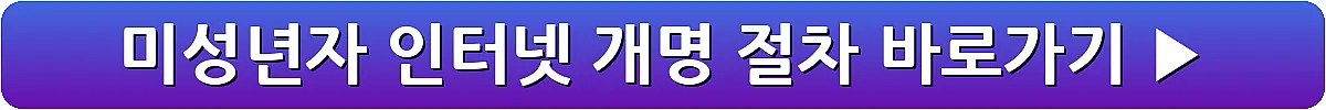 미성년자 인터넷 개명 절차_10