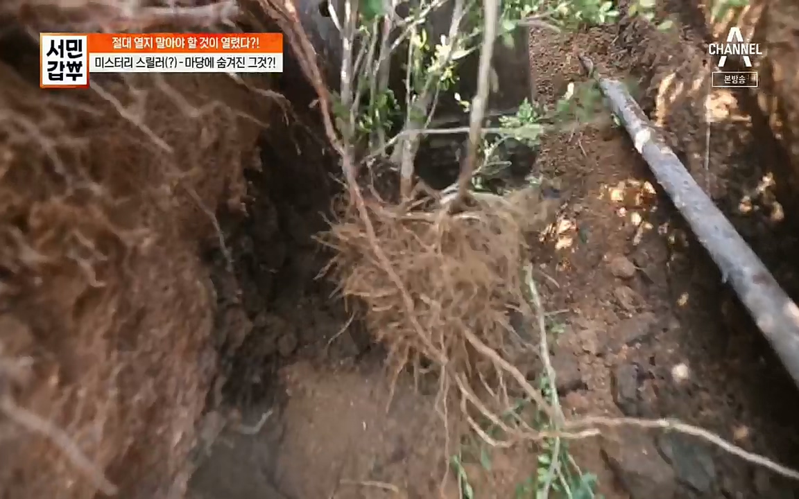 서민갑부.E398.220828p.H264-F1RST.mp4_20220828_133151.117.jpg