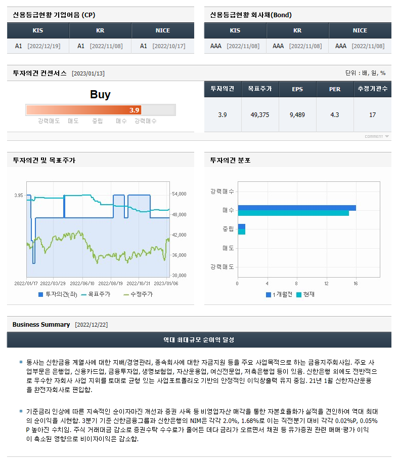 신한지주 기업정보