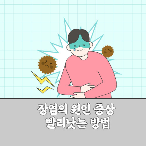 장염의원인