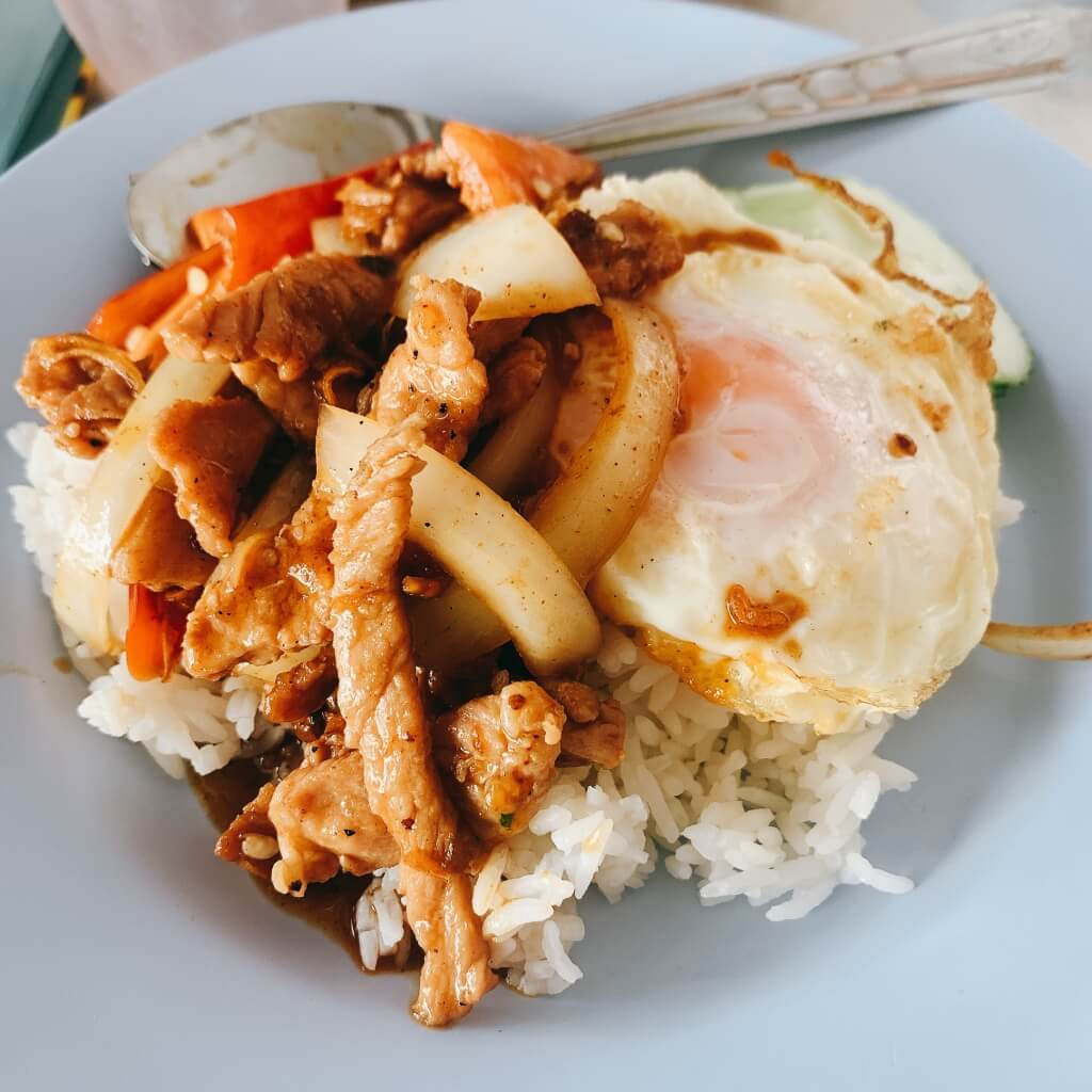 돼지 덮밥과 양파