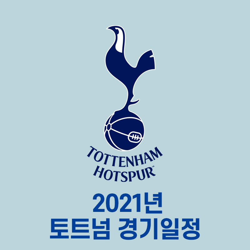  손흥민, 토트넘 경기일정 11월, 12월, 콘티감독 선임