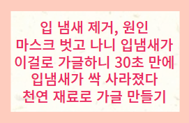 입 냄새 제거