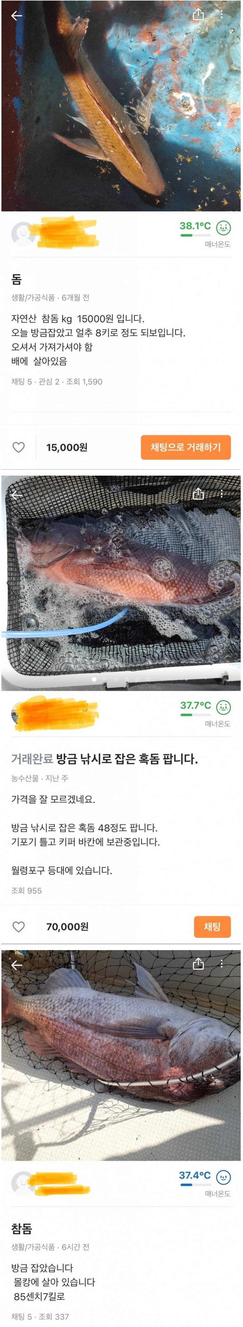  제주도 당근마켓 상황