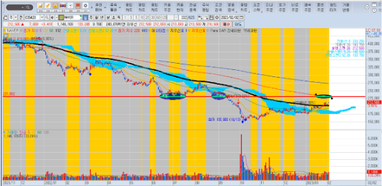 NAVER 일봉 차트 NAVER-차트
