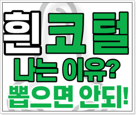  흰코털 나는 이유 코털 뽑으면 안되는 이유