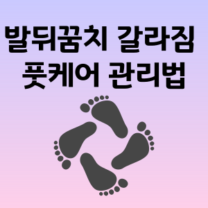  발뒤꿈치 갈라짐 각질 원인 바세린 풋케어 관리법