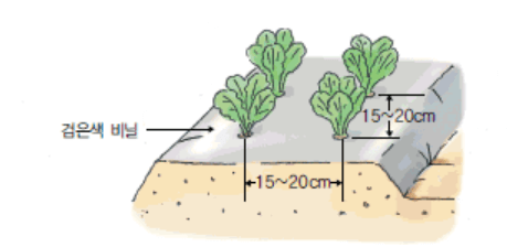 밭 위에 검은 색 비닐이 덮어져 있는 모습