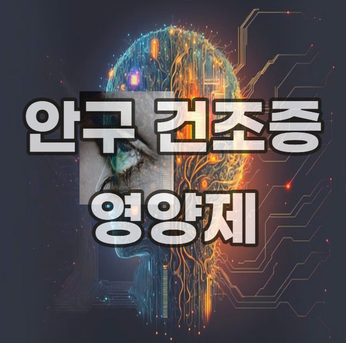 안구-건조증-영양제-해결-방법-종류