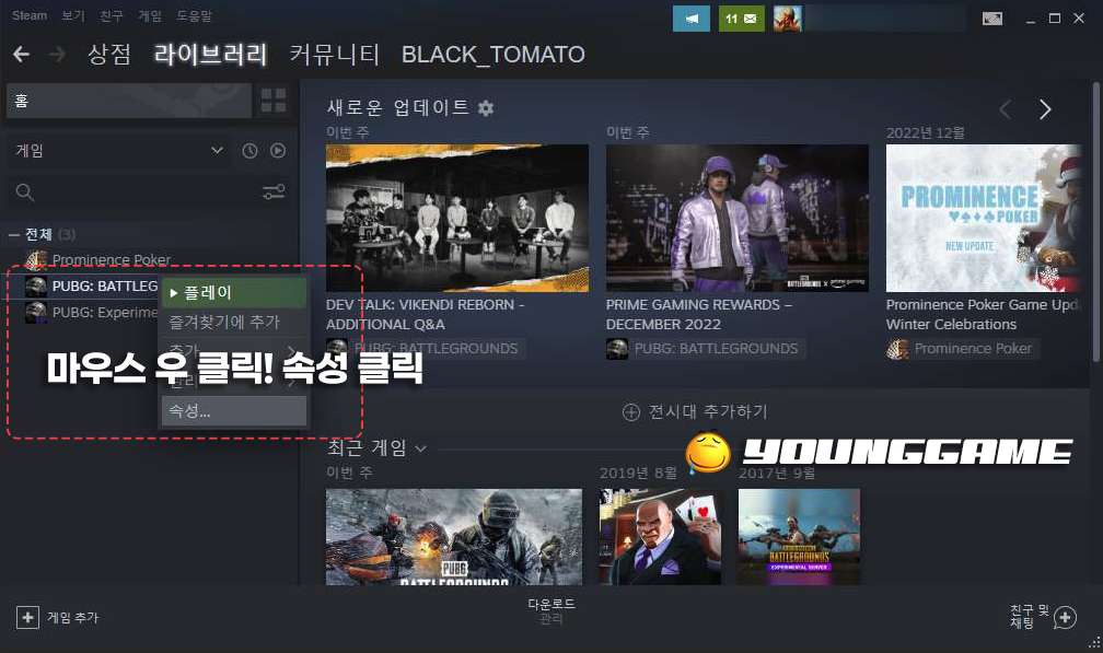 배그 무결성 검사