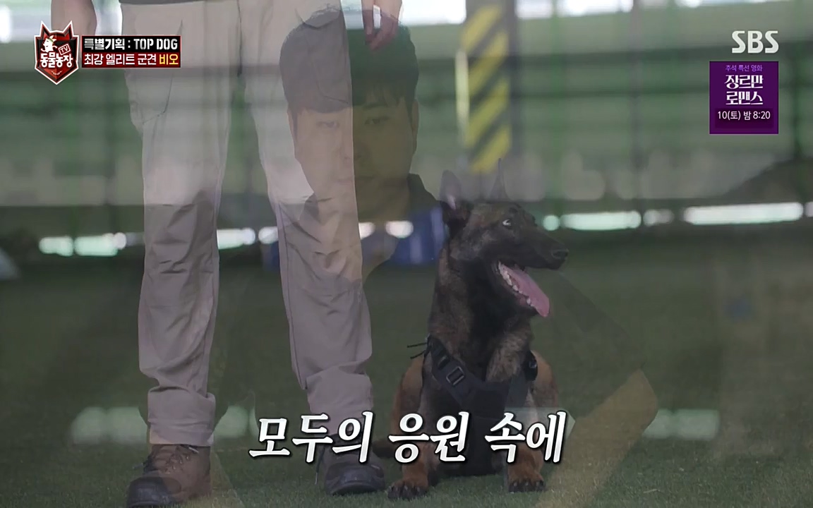 TV 동물농장.E1085.220905p-NEXT.mp4_20220904_173544.867.jpg