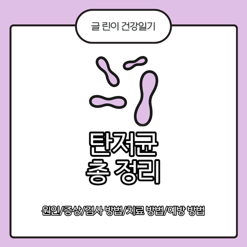  탄저균 총 정리