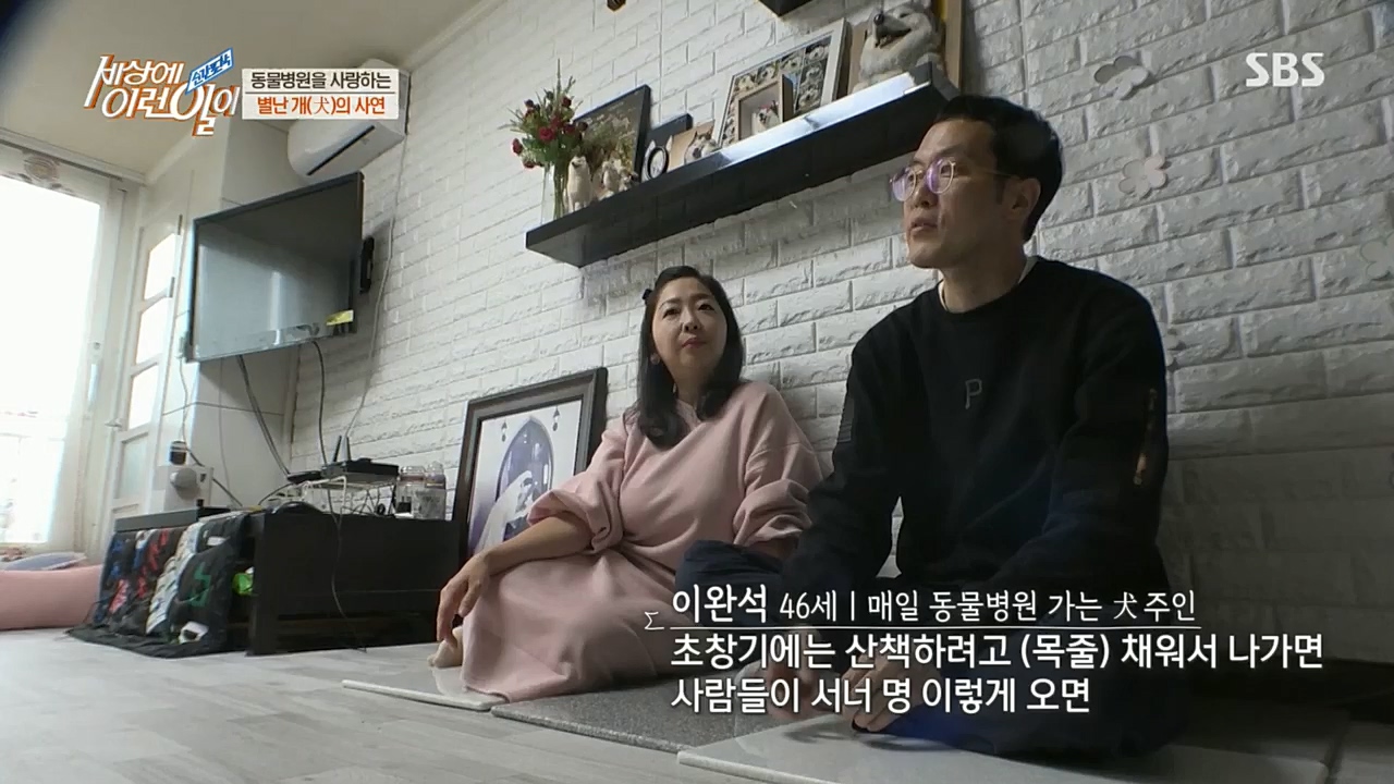 순간포착 세상에 이런일이.E1207.221130p.H264-F1RST.mp4_20221130_195701.617.jpg