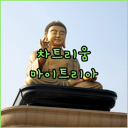 차트리움 호텔 vs 마이트리아 호텔 