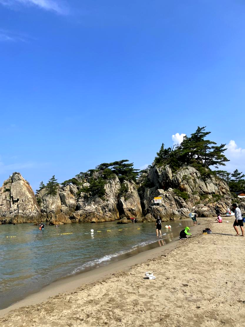  나혼자 산다 삼척 바다! 부남해수욕장에 빠진 기안84