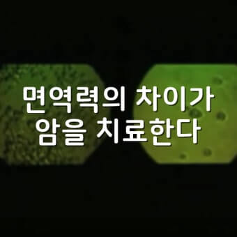 면역을 키워 암을 이긴다