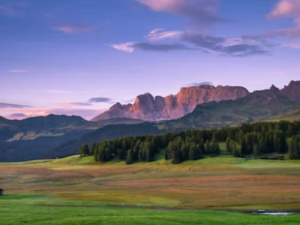 방광에 좋은 음식