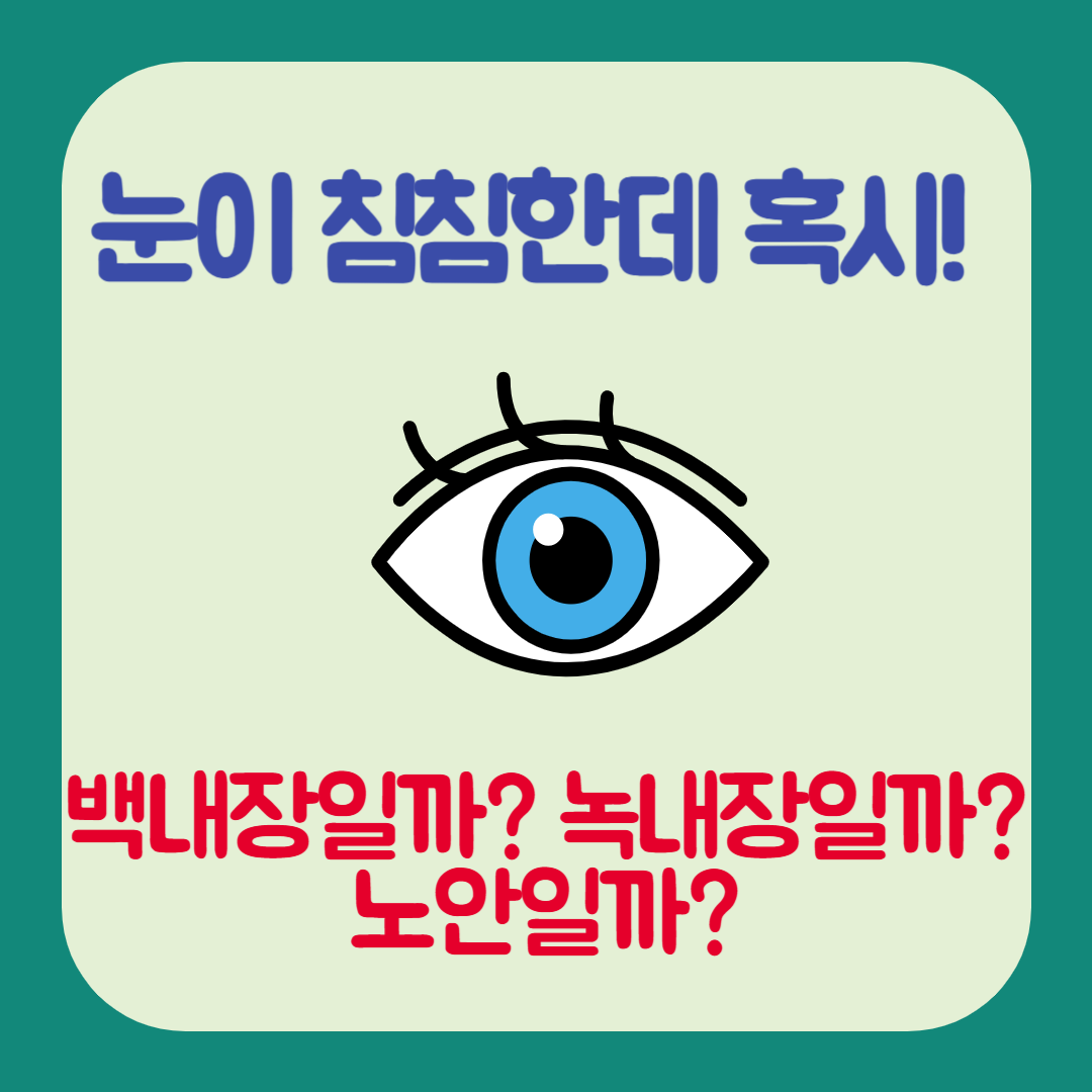 백내장
