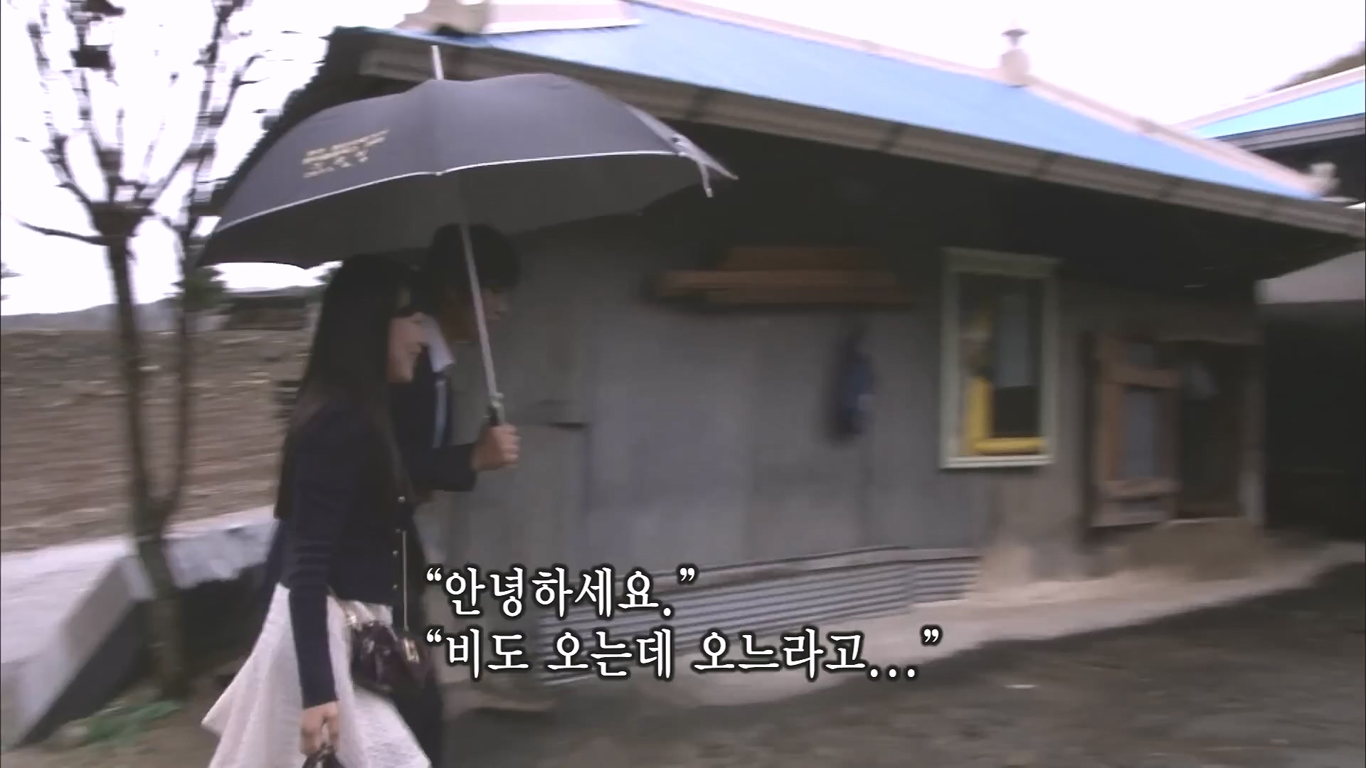 [인간극장 다시보기] 다시 태어나도 서로밖에 없다 하시는 백발의 황혼 부부, 따뜻하고 싱그러운 신혼일기 제2막이 시작된다 KBS 방송.mp4_20240415_133505.737.jpg