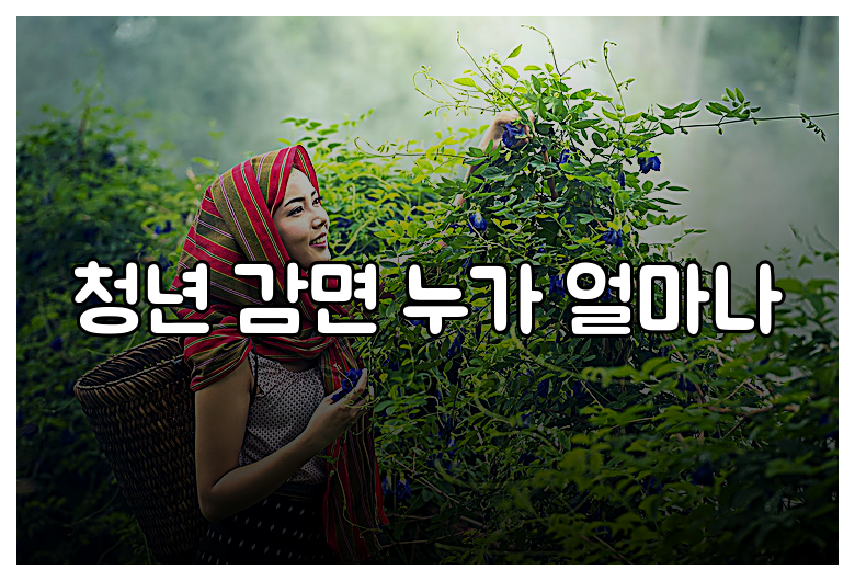 청년 감면 누가 얼마나