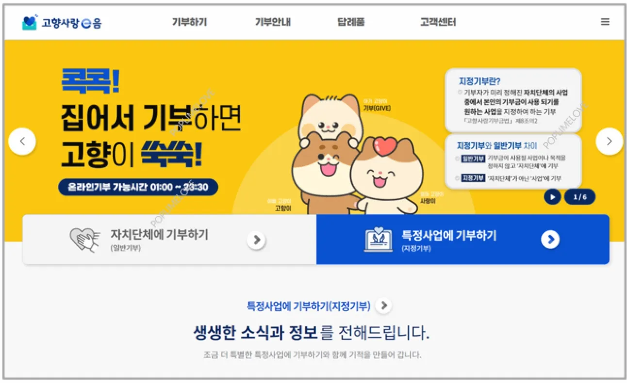 고향사랑기부제의 주요 특징