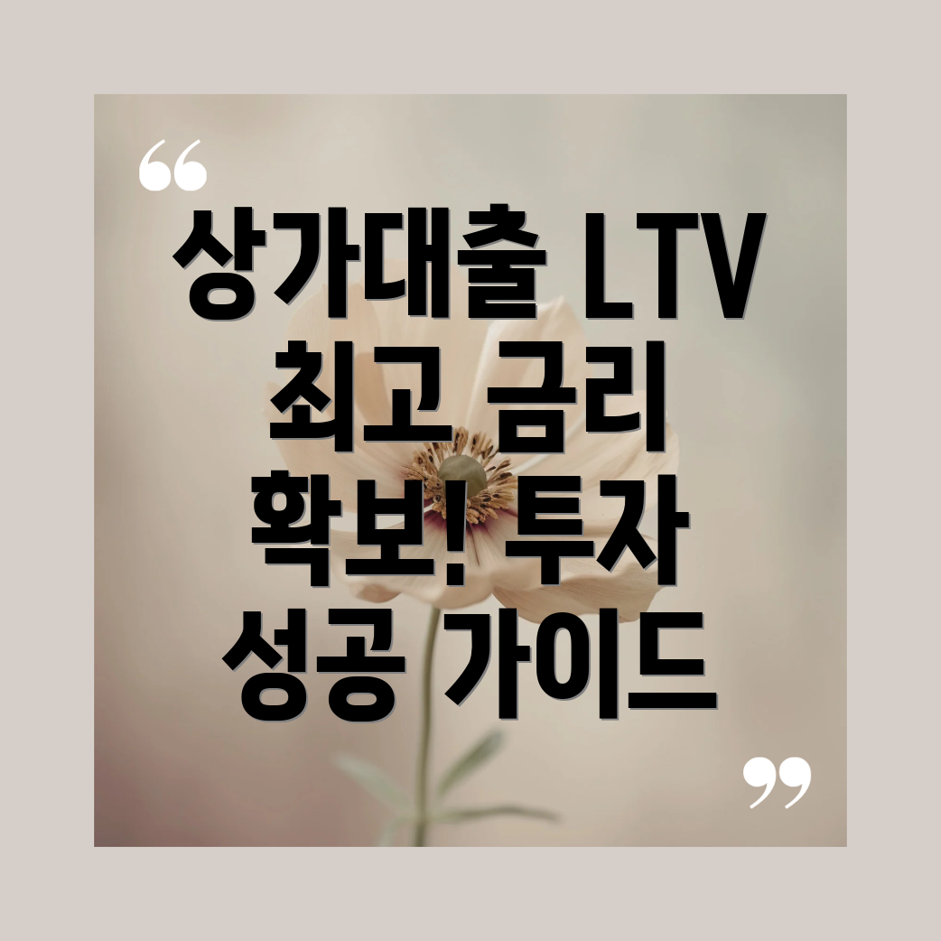 상가대출LTV