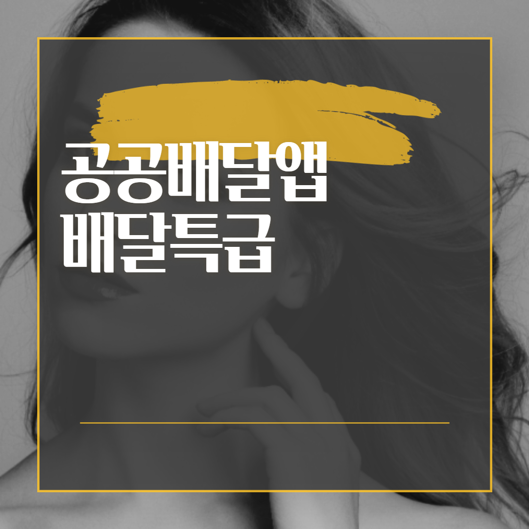  공공배달앱 배달특급