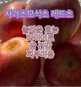 사과초모식초-레드초-효능
