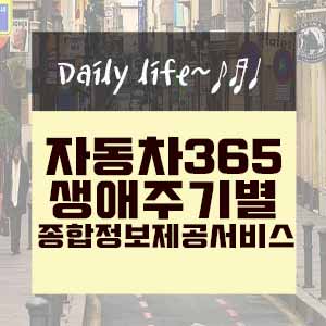  자동차365서비스 이용하기