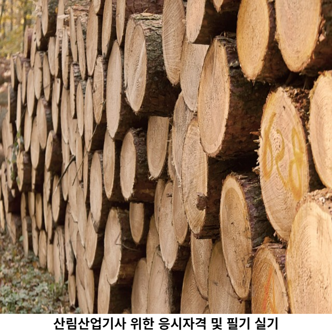 산림산업기사 실기 시험