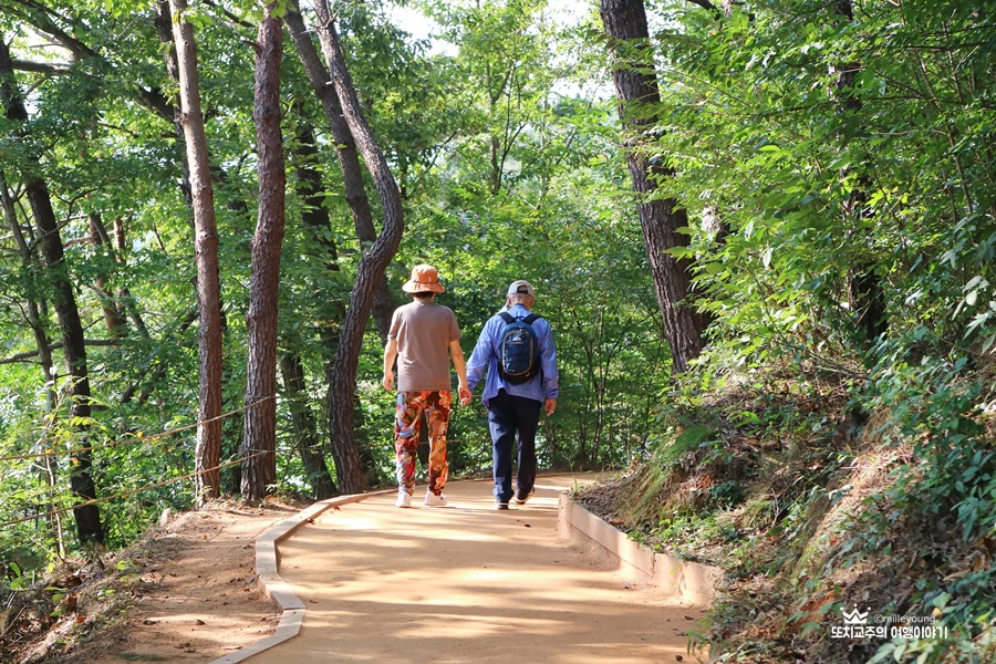 울창한 숲과 황토길을 두손 잡고 걷고 있는 노부부의 모습