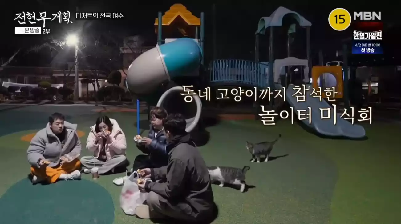 고양이와 놀이터