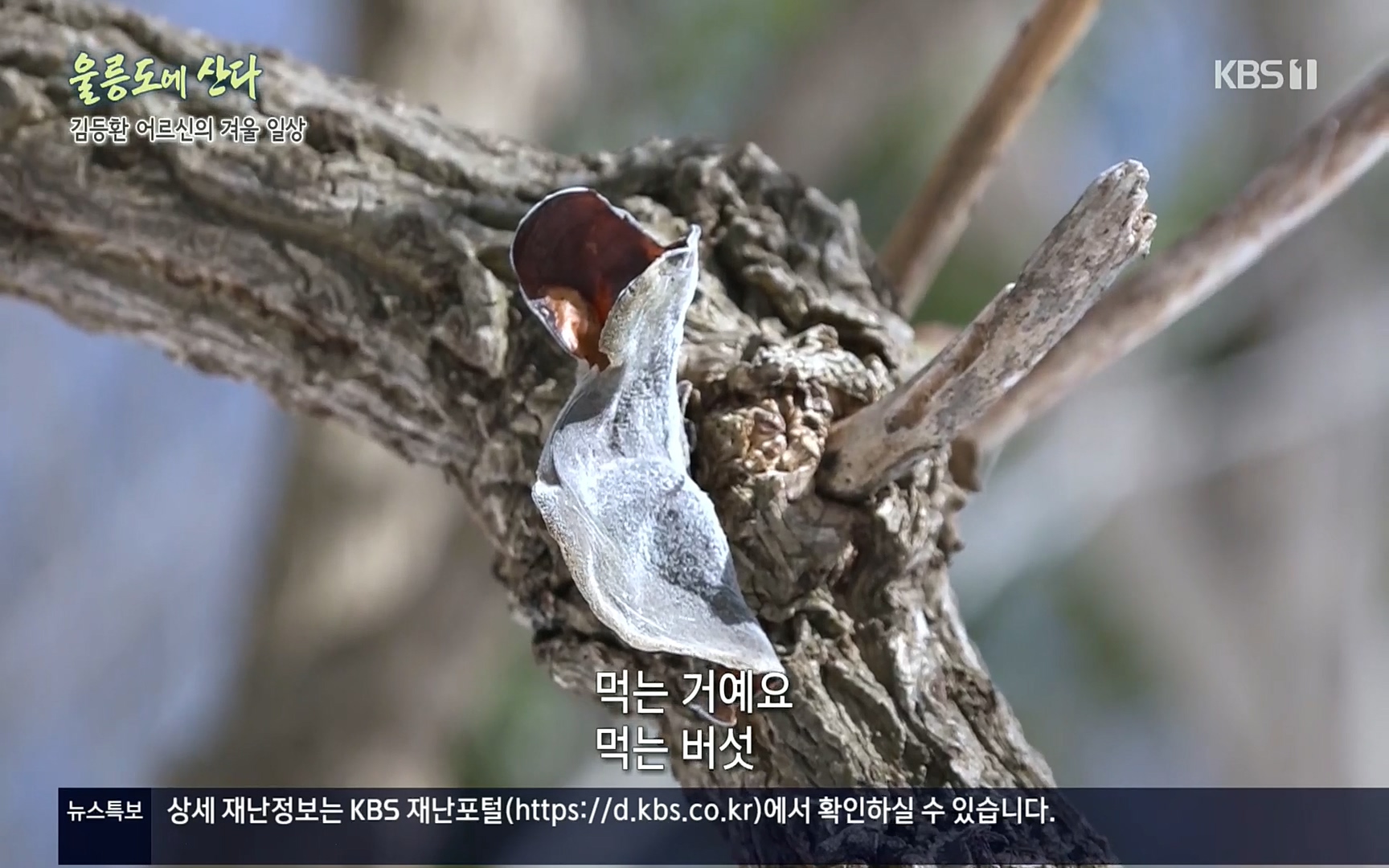 다큐울릉도에산다.E01.220909p.H264-F1RST.mp4_20220912_180346.694.jpg