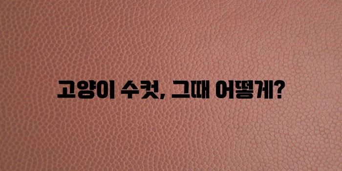 고양이 수컷 발정기 필수 지식과 효과적인 대응 전략을 알아야 합니다!