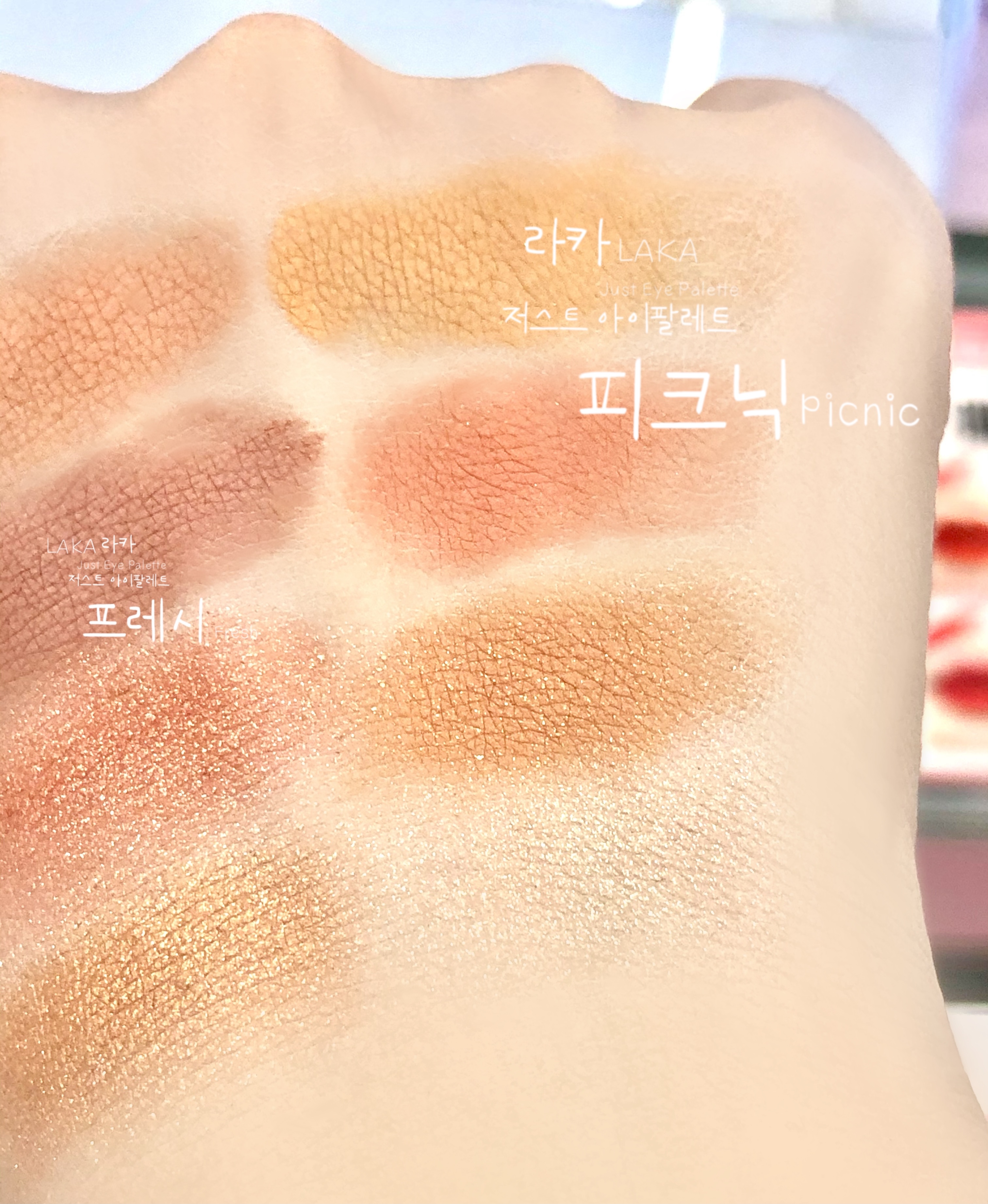  발색 리뷰)누가 봐도 웜톤 메이크업 라카 저스트 아이팔레트 피크닉