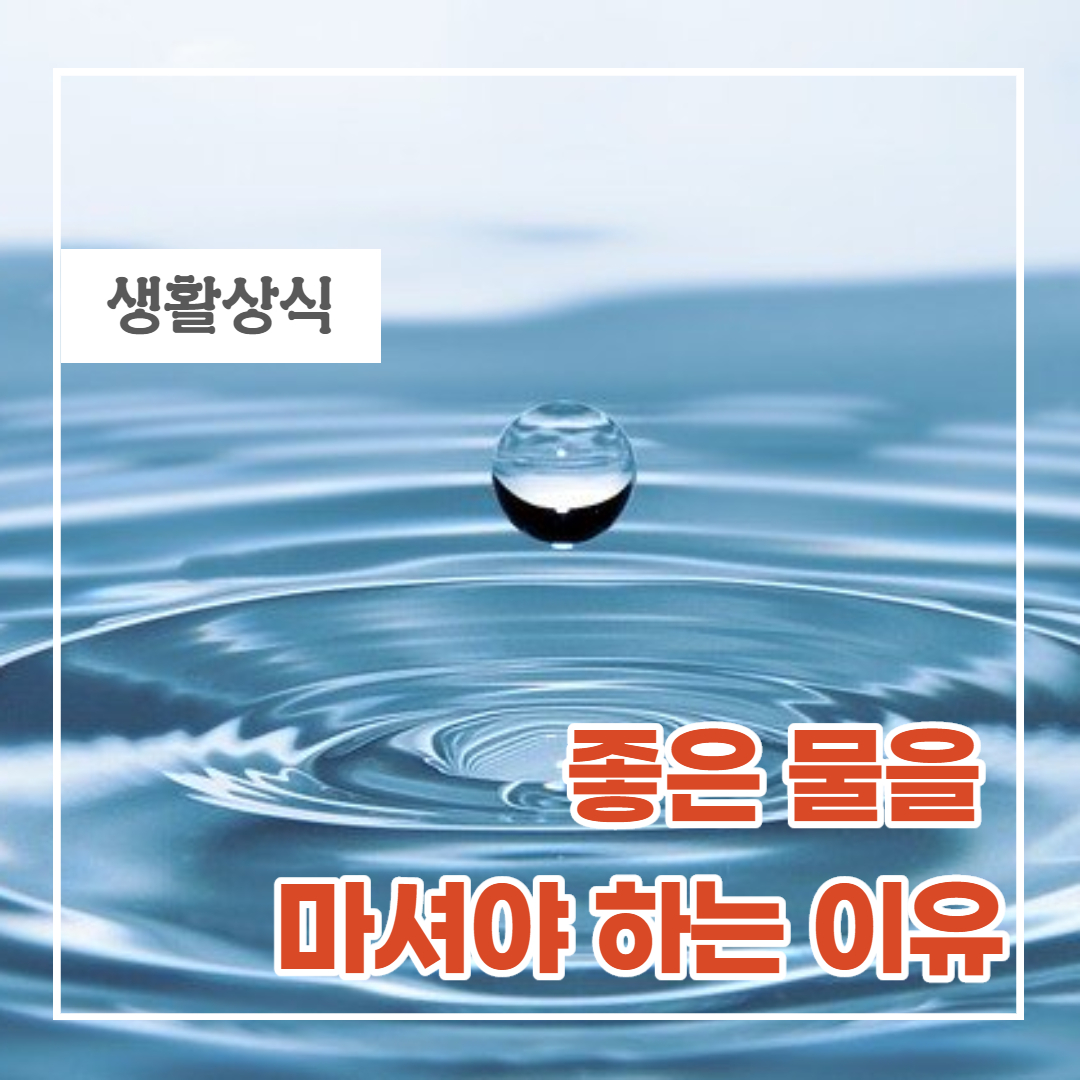  좋은 물을 마셔야 하는 이유