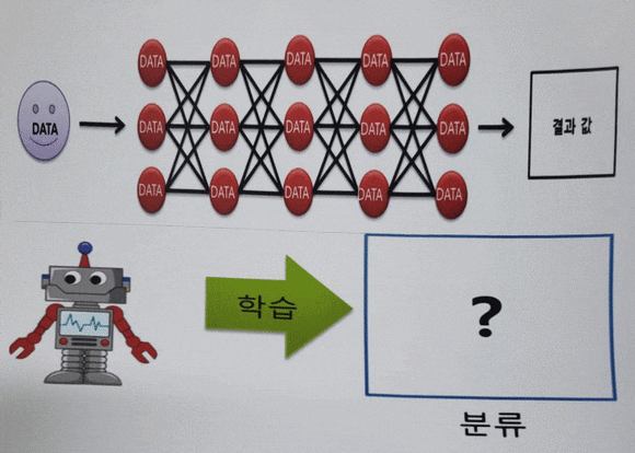 코딩 취업 대학생 코딩 : 6