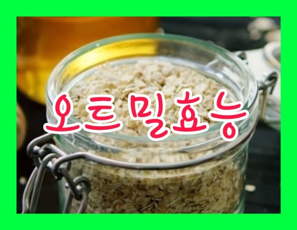 오트밀 가루 먹는법 오트밀 효능 부작용