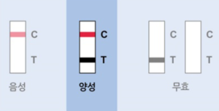 자가진단키트 양성