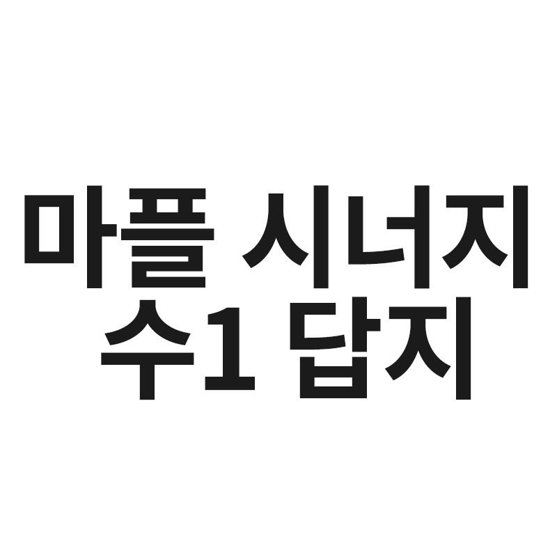  마플 시너지 수1 답지를 알려드립니다
