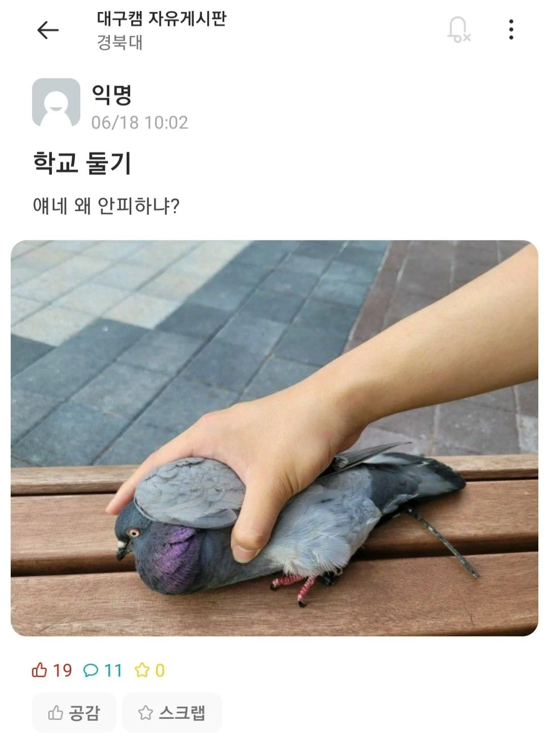 대구캠 자유게시판
경북대
익명
06/18 10:02
학교 둘기
얘네 왜 안피하냐?
19110
공감
☆스크랩