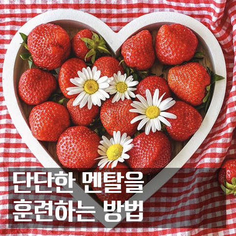  단단한 멘탈을 훈련하는 방법