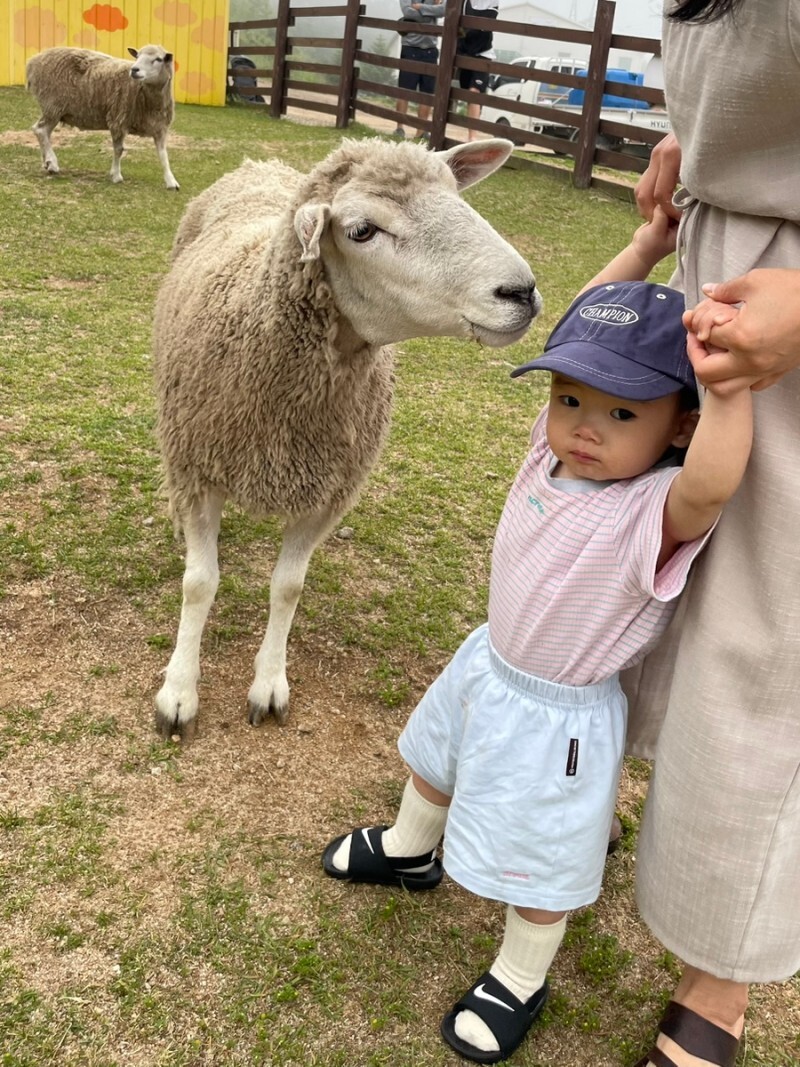 아기 먹이주기 체험